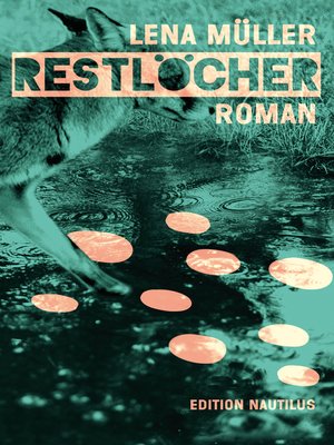 cover image of Restlöcher
